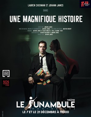 Affiche de Une magnifique histoire