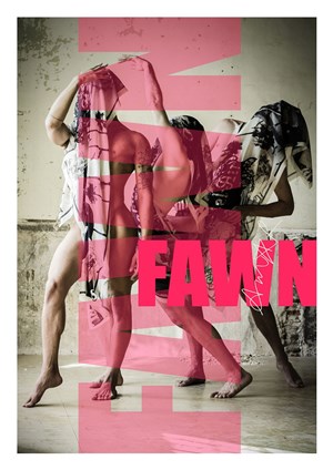 Affiche de Fawn