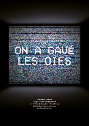 Affiche de On a gavé les oies