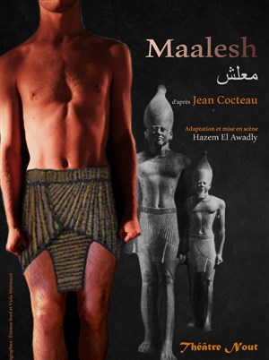 Affiche de Maalesh