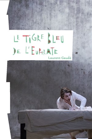 Affiche de Le Tigre bleu de l'Euphrate