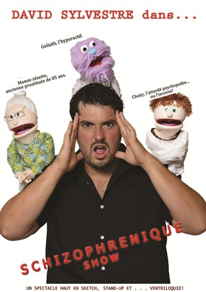 Affiche de David Sylvestre dans Schizophrenique show