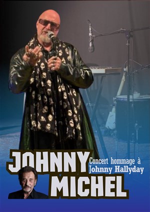 Affiche de Johnny Michel chante Johnny Hallyday