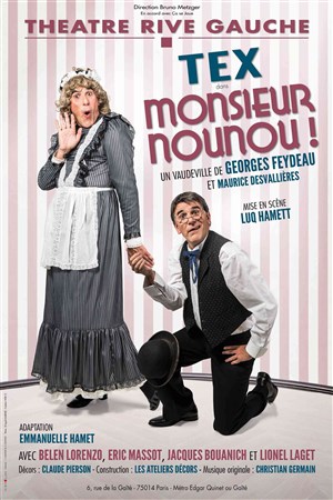 Affiche de Monsieur Nounou ! | avec Tex