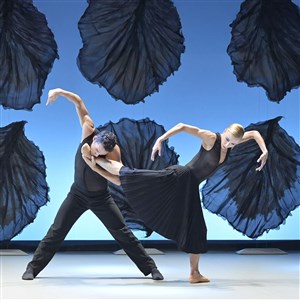 Affiche de Malandain Ballet Biarritz : Les saisons