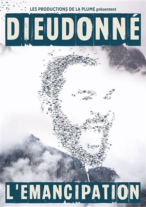 Affiche de Dieudonné dans En Vérité