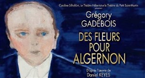 Affiche de Des fleurs pour Algernon