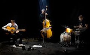 Affiche de Nicolas Barreau trio