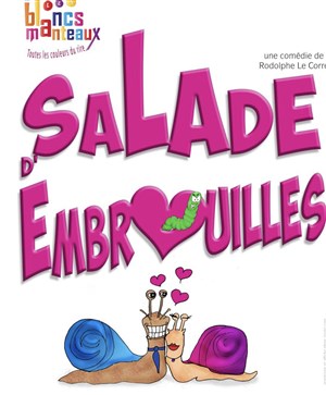 Affiche de Salade d'embrouilles