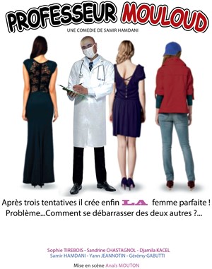 Affiche de Professeur Mouloud