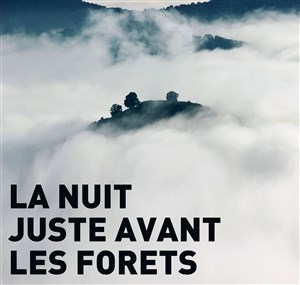 Affiche de La nuit juste avant les forêts