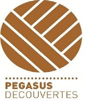 Affiche de Visite guidée : de Lutèce à Paris | par Sandra, de l'association Pegasus Découvertes