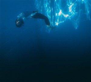 Affiche de Avis de turbulences - Plateau partagé #3 : Très loin, à l'horizon + Whales