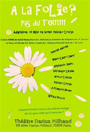 Affiche de A la folie ? Pas du tout !