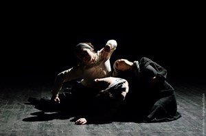 Affiche de Danse Théâtre