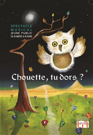 Affiche de Chouette, tu dors ?