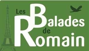 Affiche de Visite guidée : Comprendre paris en 2 heures : Une gageure ? | par Romain Garcia