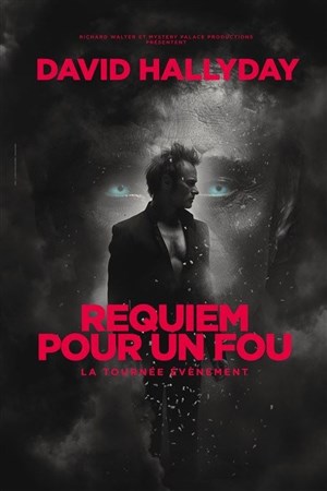 Affiche de David Hallyday : Requiem pour un fou | Amnéville