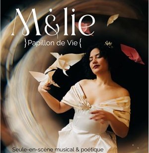 Affiche de Papillon de vie