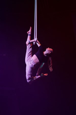 Affiche de Moya-Zip Zap Circus