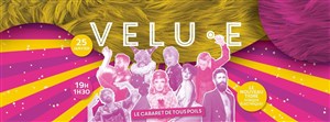 Affiche de Velu.e Cabaret de tous poils