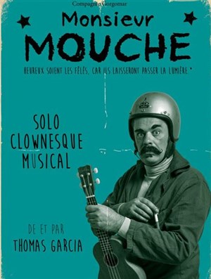 Affiche de Monsieur Mouche