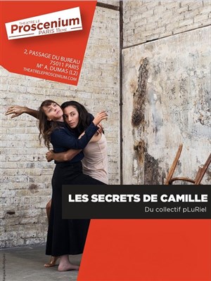 Affiche de Les Secrets de Camille