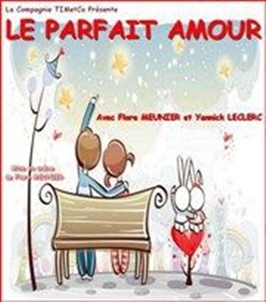 Affiche de Le parfait amour