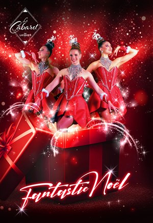 Affiche de Fantastic Noël
