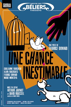 Affiche de Une chance inestimable