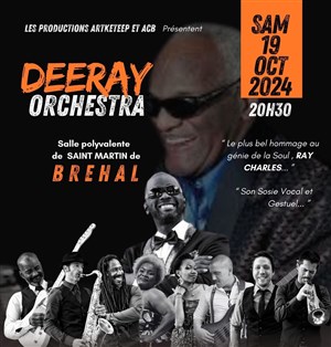 Affiche de Tribute to Ray Charles avec le Dee Ray & Dream Ladies Orchestra