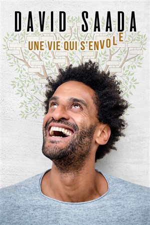 Affiche de David Saada dans Une vie qui s'envole