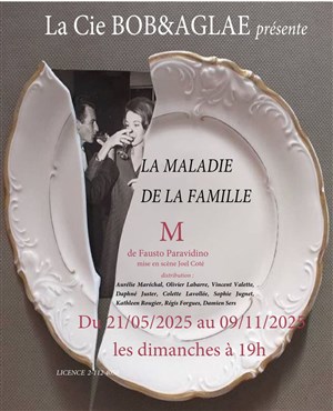 Affiche de La maladie de la famille M
