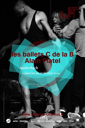 Affiche de Tauberbach