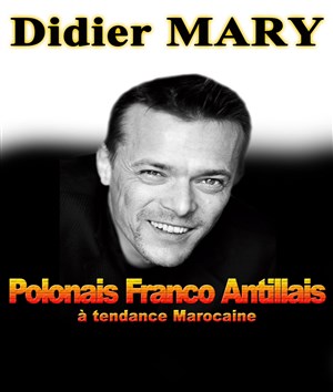 Affiche de Didier Mary dans Polonais Franco Antillais, à tendance Marocaine