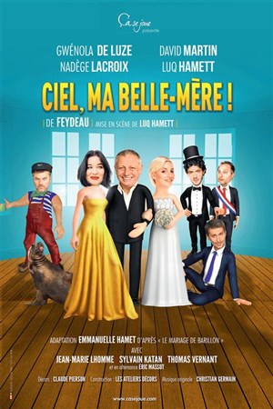 Affiche de Ciel, ma belle-mère !