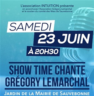 Affiche de ShowTime chante au profit de l'association Grégory Lemarchal