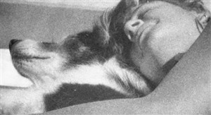 Affiche de Jag et Johnny | Festival Zoom #9