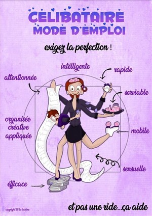 Affiche de Célibataire mode d'emploi