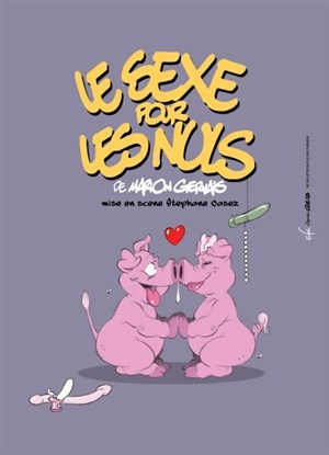 Affiche de Le sexe pour les nuls