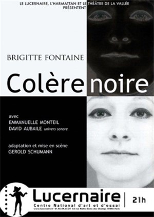 Affiche de Colère noire