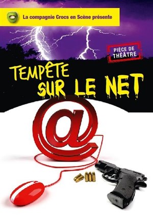 Affiche de Tempête sur le Net