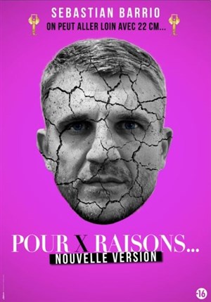 Affiche de Sébastian Barrio dans Pour X raisons