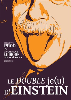 Affiche de Le double Je(u) d'Einstein
