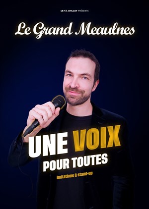Affiche de Le Grand Meaulnes dans Une voix pour toutes