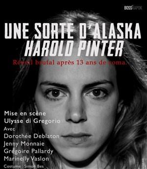 Affiche de Une sorte d'Alaska