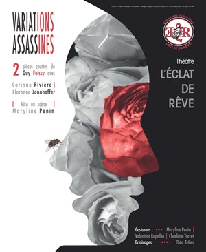 Affiche de Variations assassines