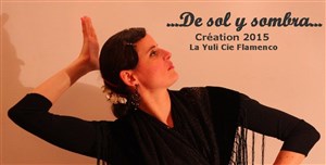 Affiche de Spectacle de flamenco : De sol y sombra