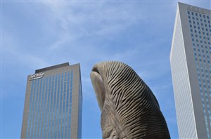 Affiche de Visite guidée de La Défense | par Raphaël Fonfroide de Lafon