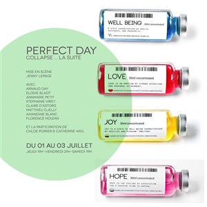Affiche de Perfect Day